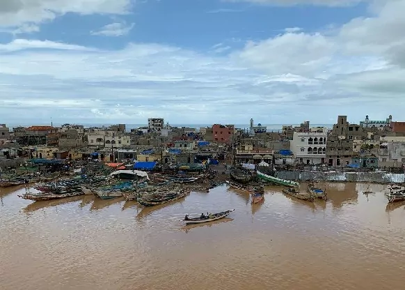 Senegal, Ausbildung COGNOS International