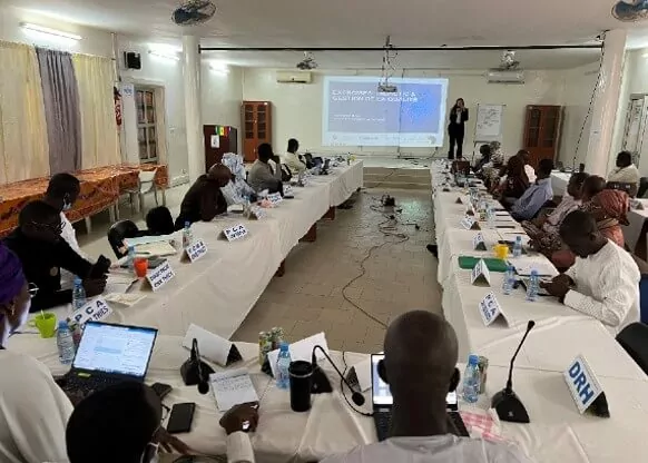 Projekt in Senegal, COGNOS International