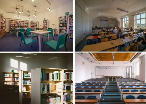 AMBIS Uni